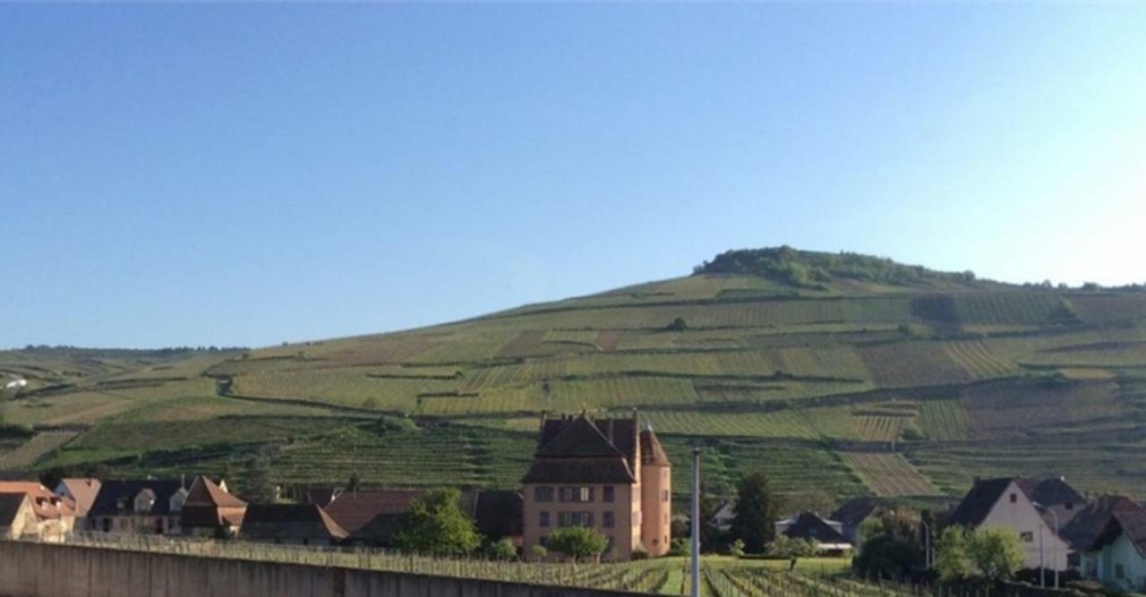 Villa Un Petit Coin D'Alsace Soultzmatt Exterior foto